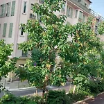 - Duplex Carré D'or - 100m Promenade Des Apartamento